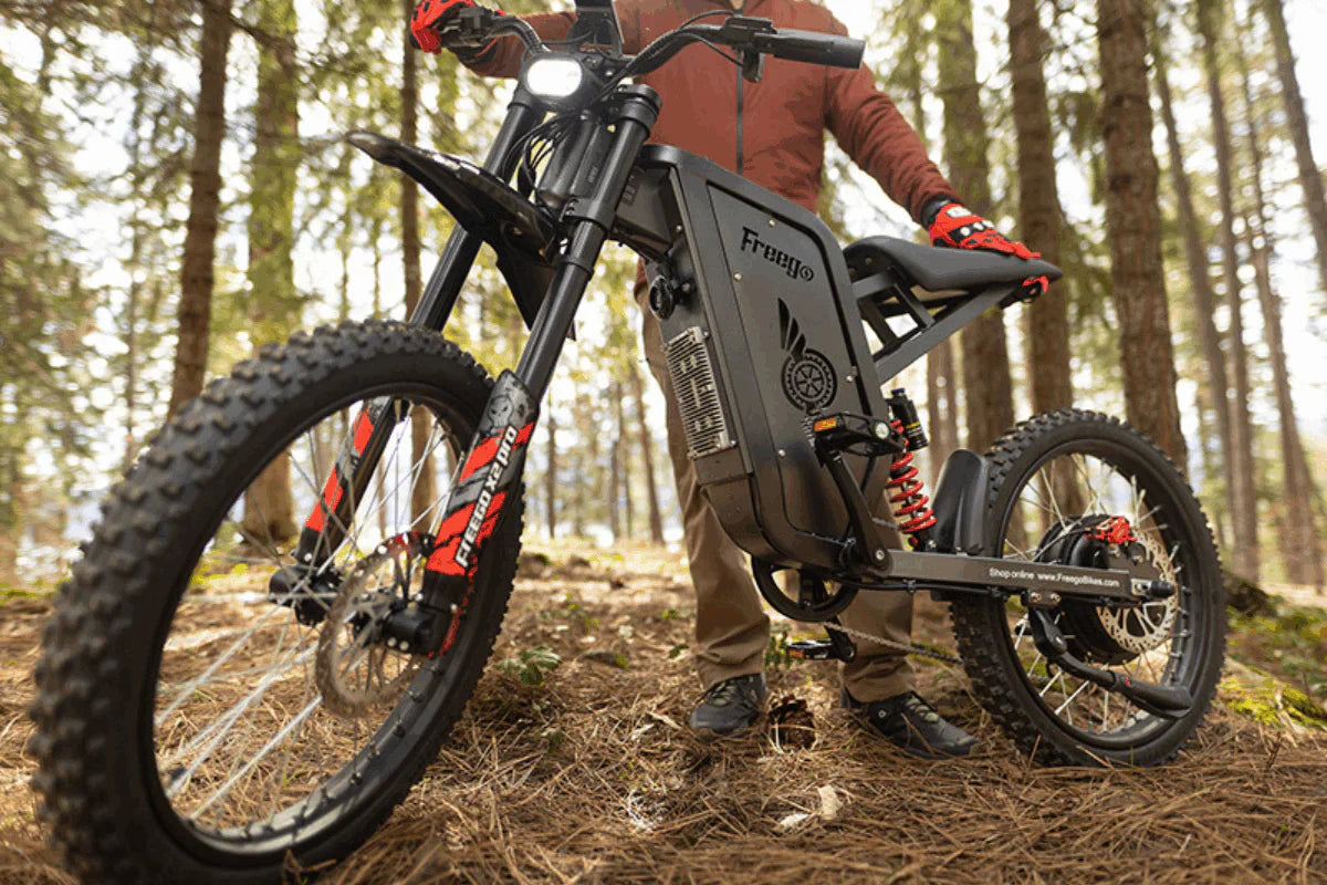 Freego X2 Pro All-Terrain Dirt Electric Bike