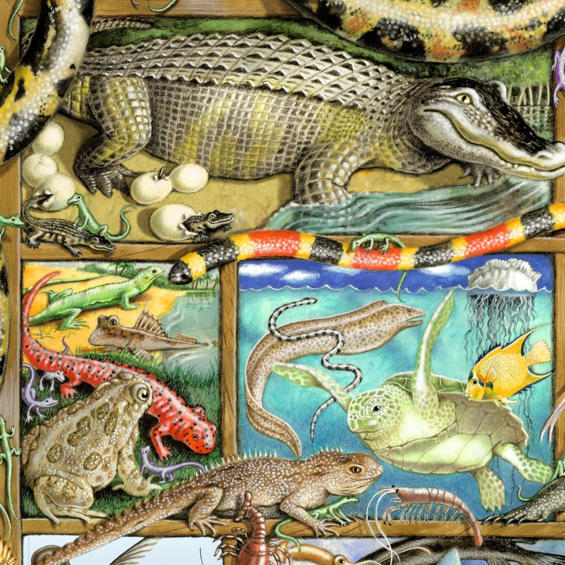 Reptiles Fish Amphibians Whimsical Wall Art by Laura Seeley - Love Family Kids Decor - 8513011-LS