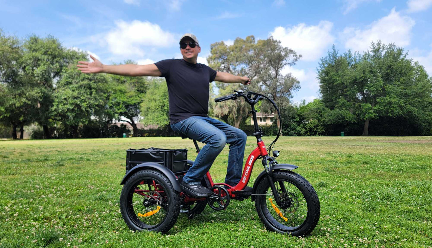 Bee Zipper Foldable Long Range Electric Trike