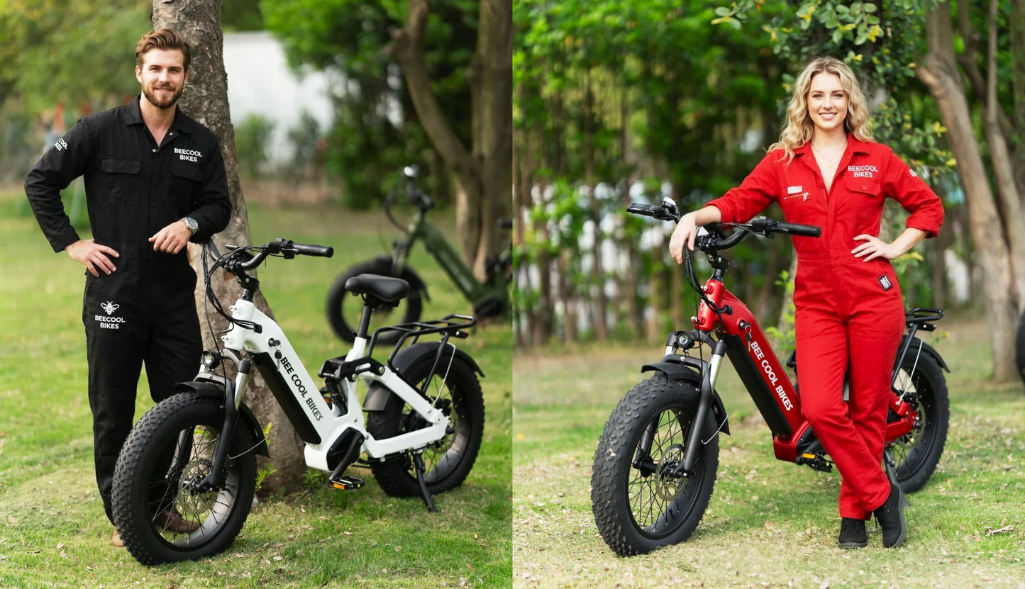 Bee Ranger Soft Tail Long Range Electric Bike