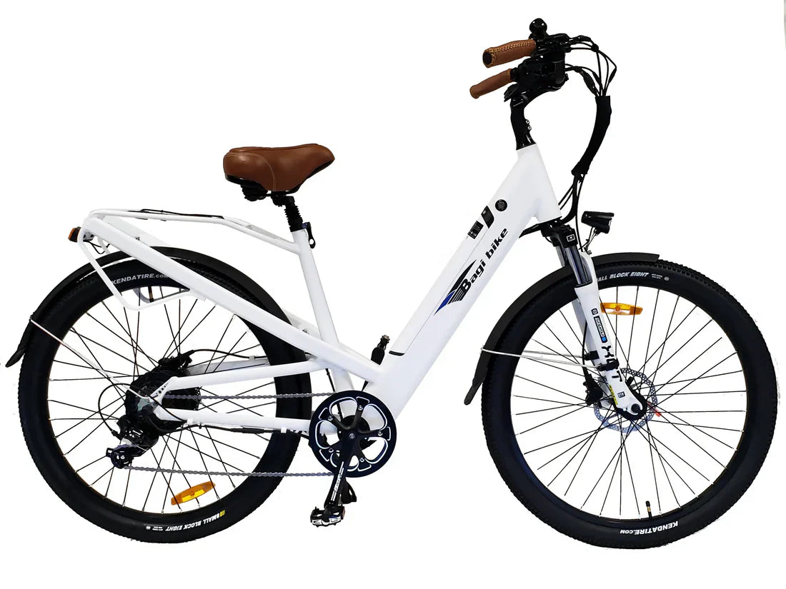 Bagi Bike B27 Trail ST Electric Bike