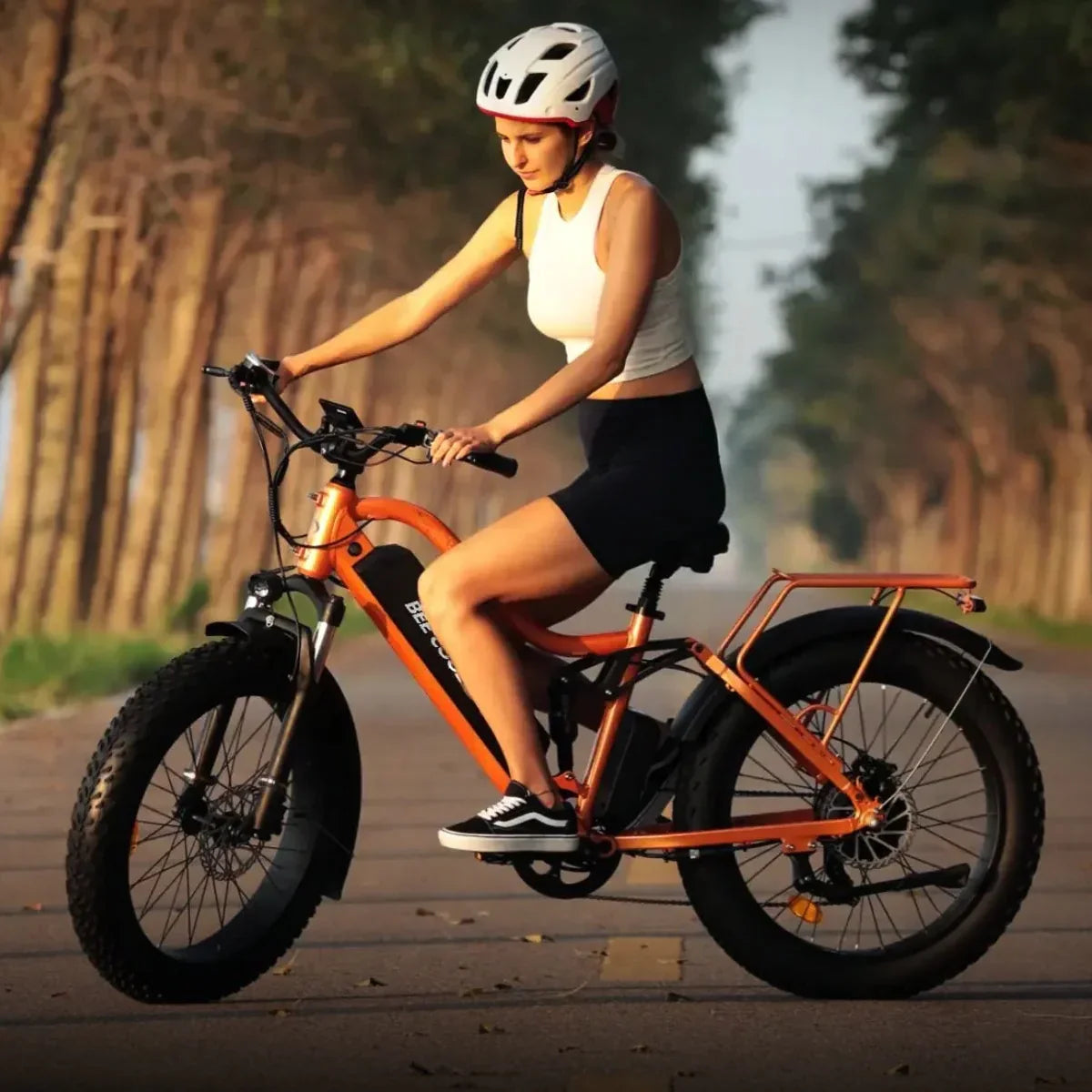 Bee Explorer Soft Tail Long Range Electric Bike