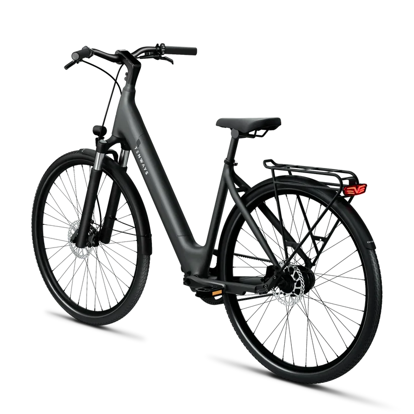 TENWAYS CGO800S Electric Bike