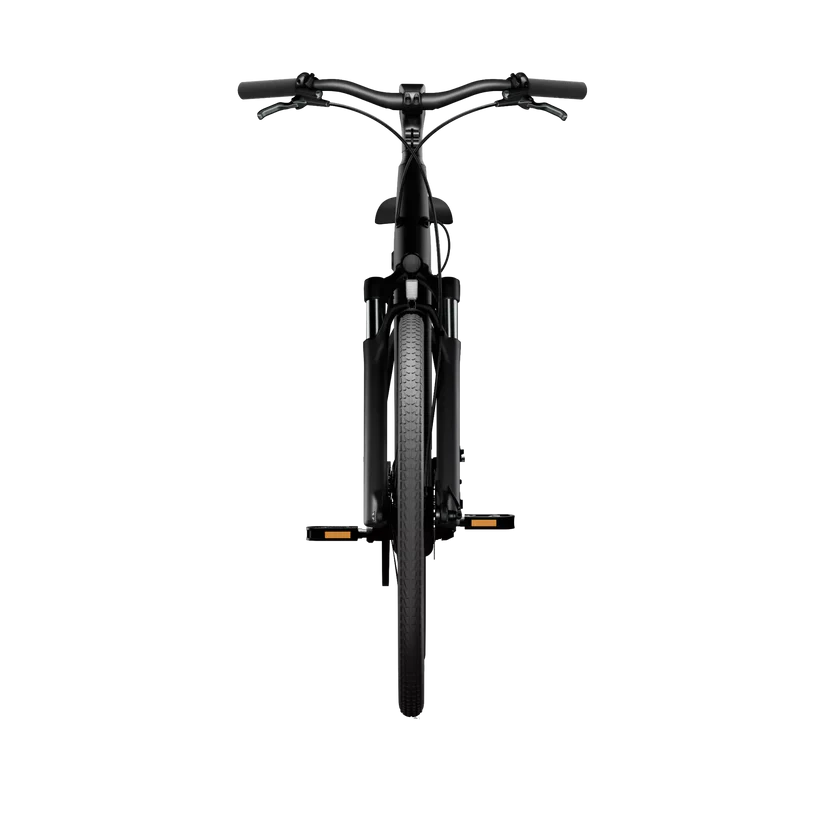 TENWAYS CGO800S Electric Bike