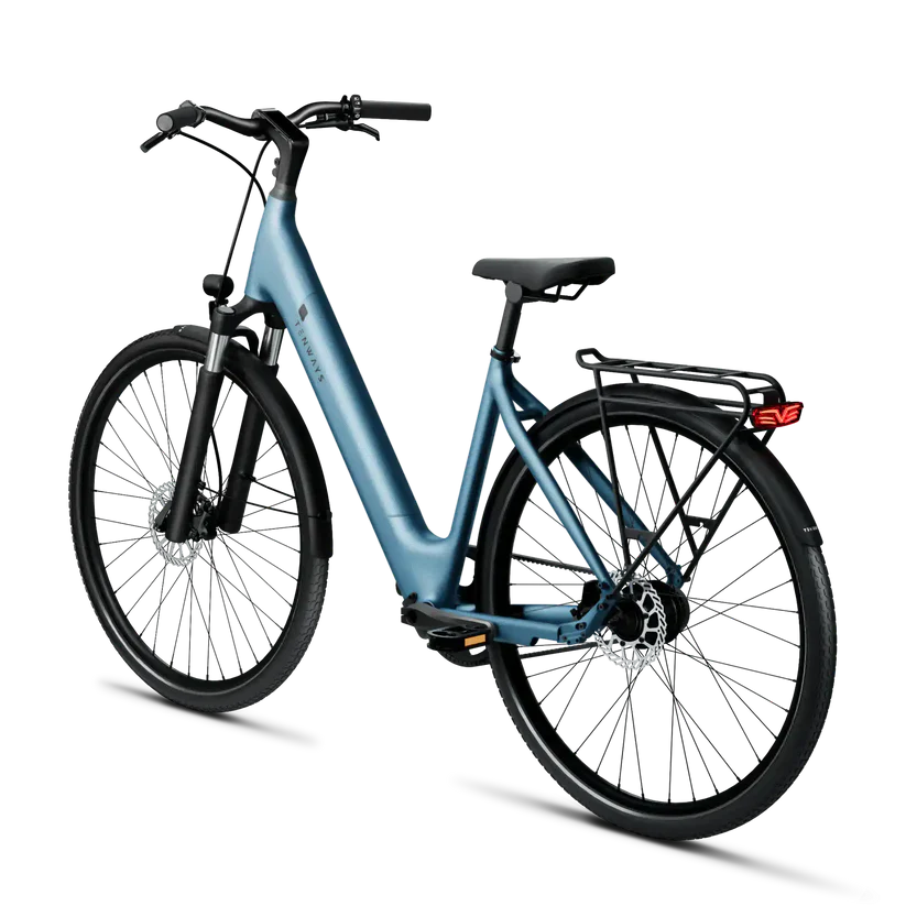 TENWAYS CGO800S Electric Bike