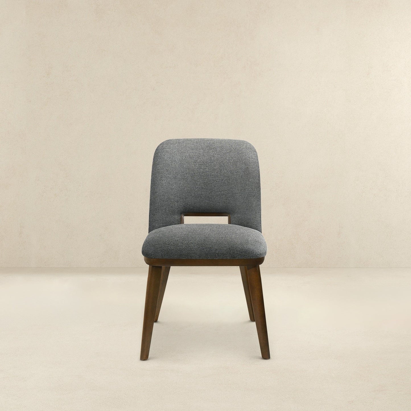 Blake - Modern Dining Chair (Set of 2)
