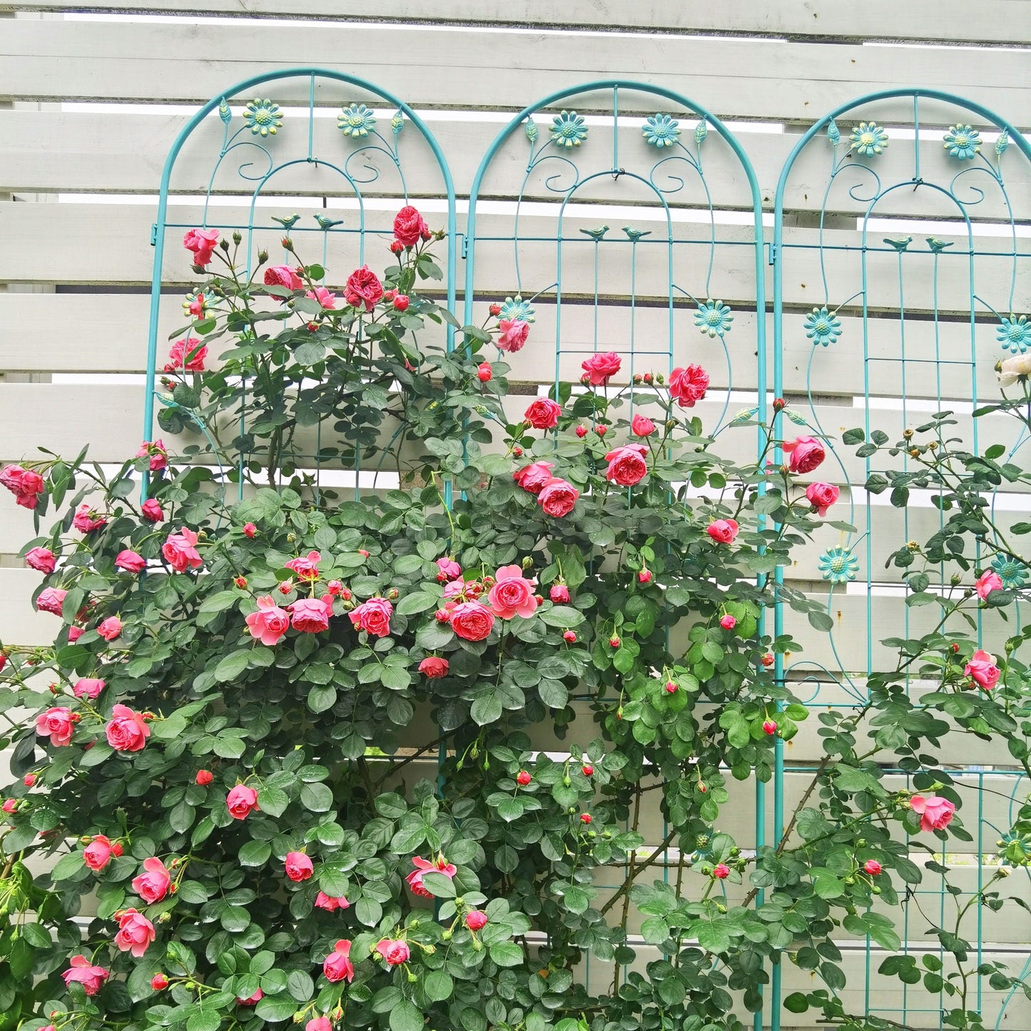 Metal Garden Trellis Rustproof Trellis For Climbing Plant Outdoor Flower Support