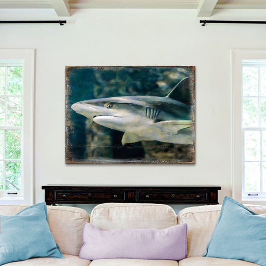Zindanlari Shark Wooden Coastal Wall Art by Nature Wonders - Coastal Sea-Life Decor - 95324B
