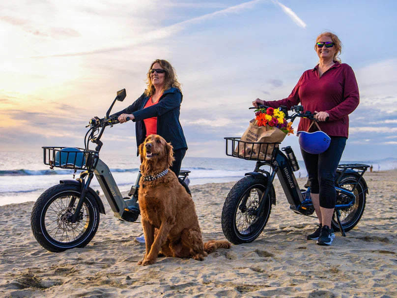 Himiway D5 2.0 20" Step-Thru Electric Bike