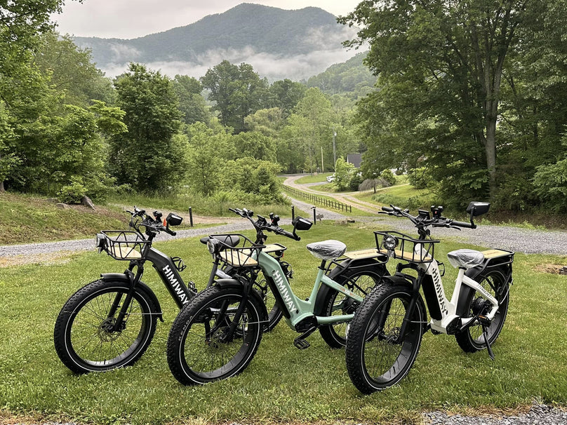 Himiway D5 ST(Zebra ST) / All-terrain Electric Fat Bike