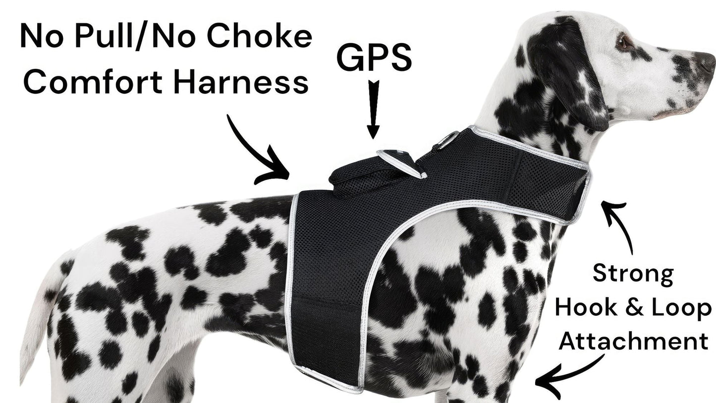 Waterproof Mini Pet Location Finder w/ Pet GPS Tracking Cell Phone App Size:M