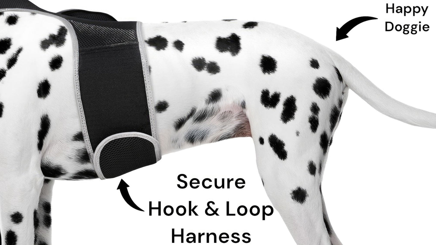 Easy Setup Waterproof Mini GPS Realtime Pet GSM GPRS Tracking Device Size:L