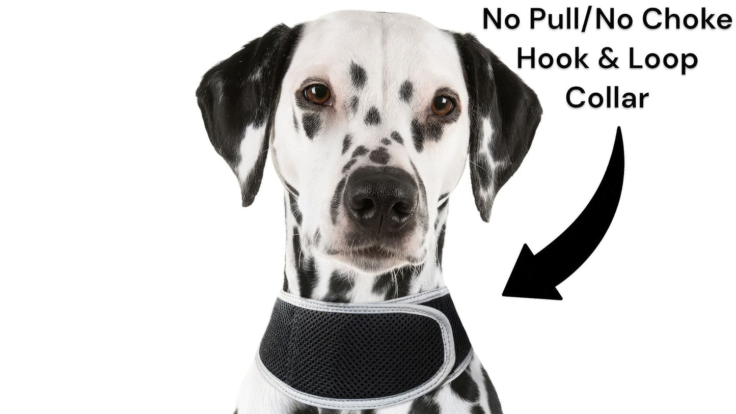 Waterproof GPS Tracker Dog Cat Rechargeable Locator with Battery Alert Size:L