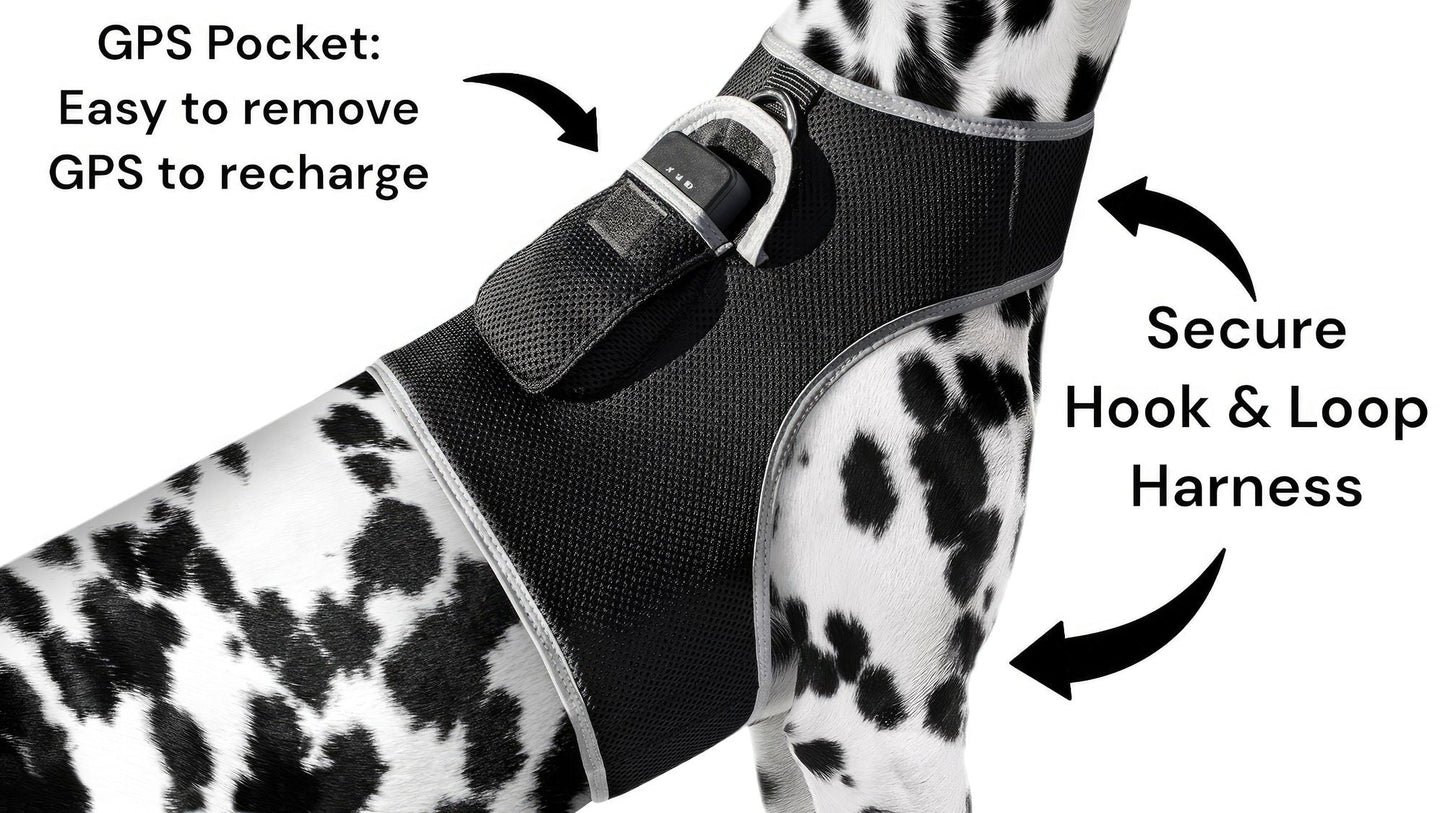 Waterproof GPS Tracker Dog Cat Rechargeable Locator with Battery Alert Size:L