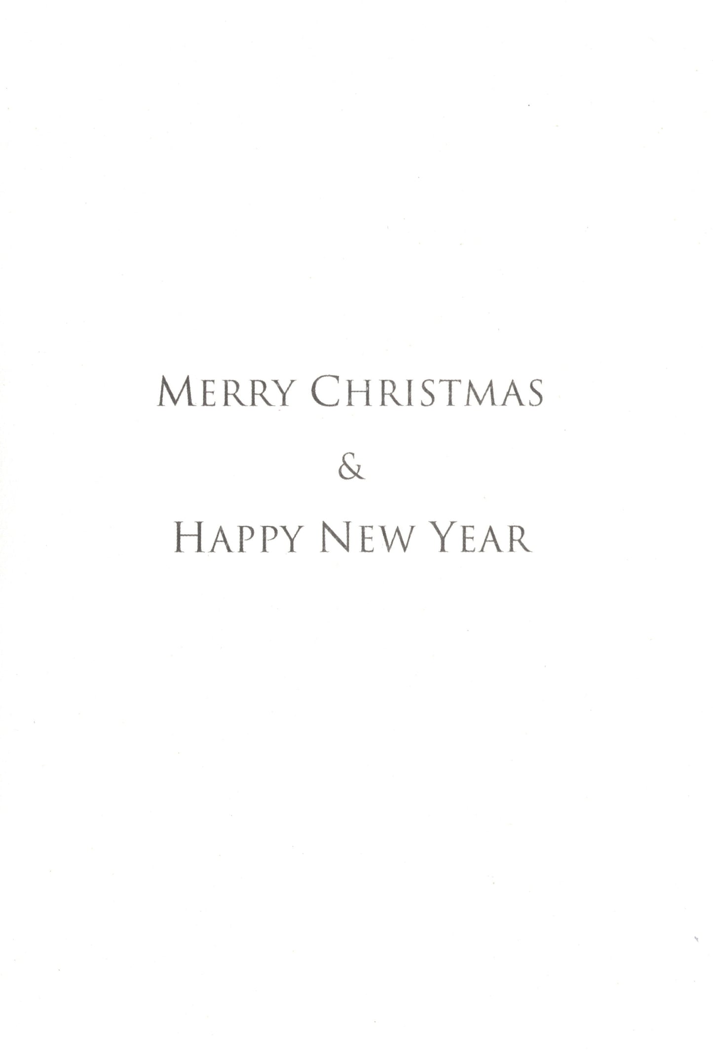 Value Card Set - Tis the Season - 18 Cards and Envelopes