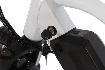 Bee Explorer Soft Tail Long Range Electric Bike