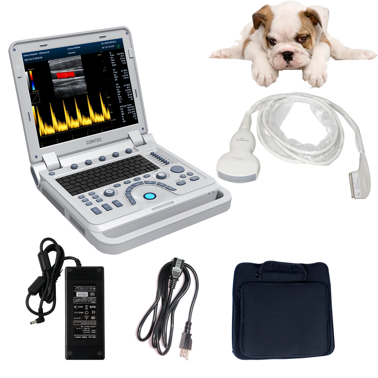 VET Veterinary Portable Ultrasound Scanner Laptop Machine Color Dopple ...