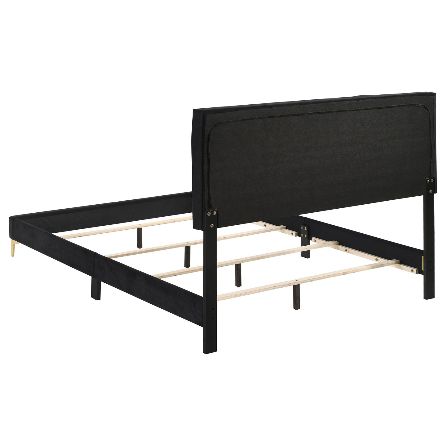 Lexie - Tufted Panel Bed