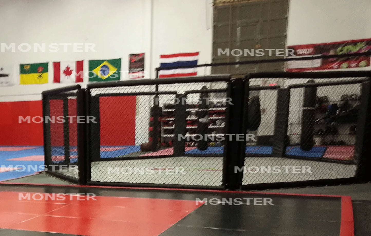 Floor Gym Cage by Monster Rings and Cages
