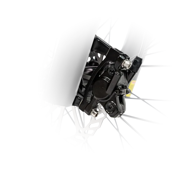Bee Pathfinder Step-Thru Full Suspension Long Range Electric Bike