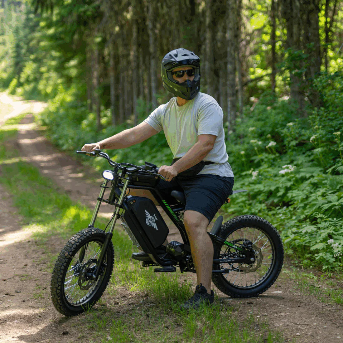 Freego Nova 3 Mid-Drive All-Terrain Dirt Electric Bike