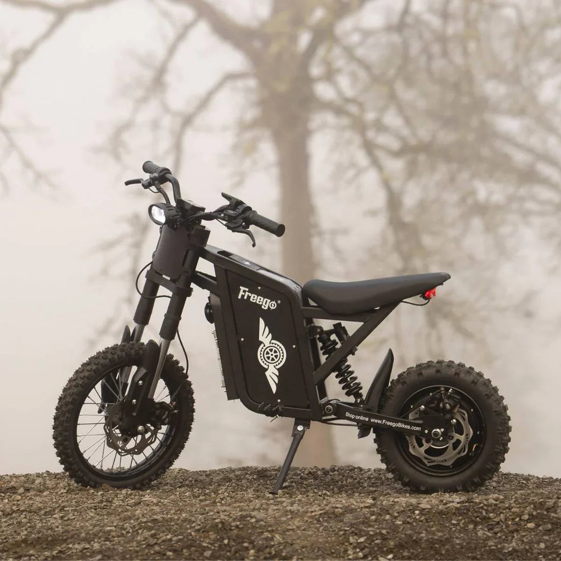 **PREORDER EARLY APRIL** Freego X0 Electric Mini Bike for Teens and Adults