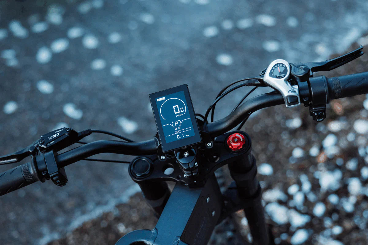 Freego X2 Dirt Master Off-Road Electric Bike