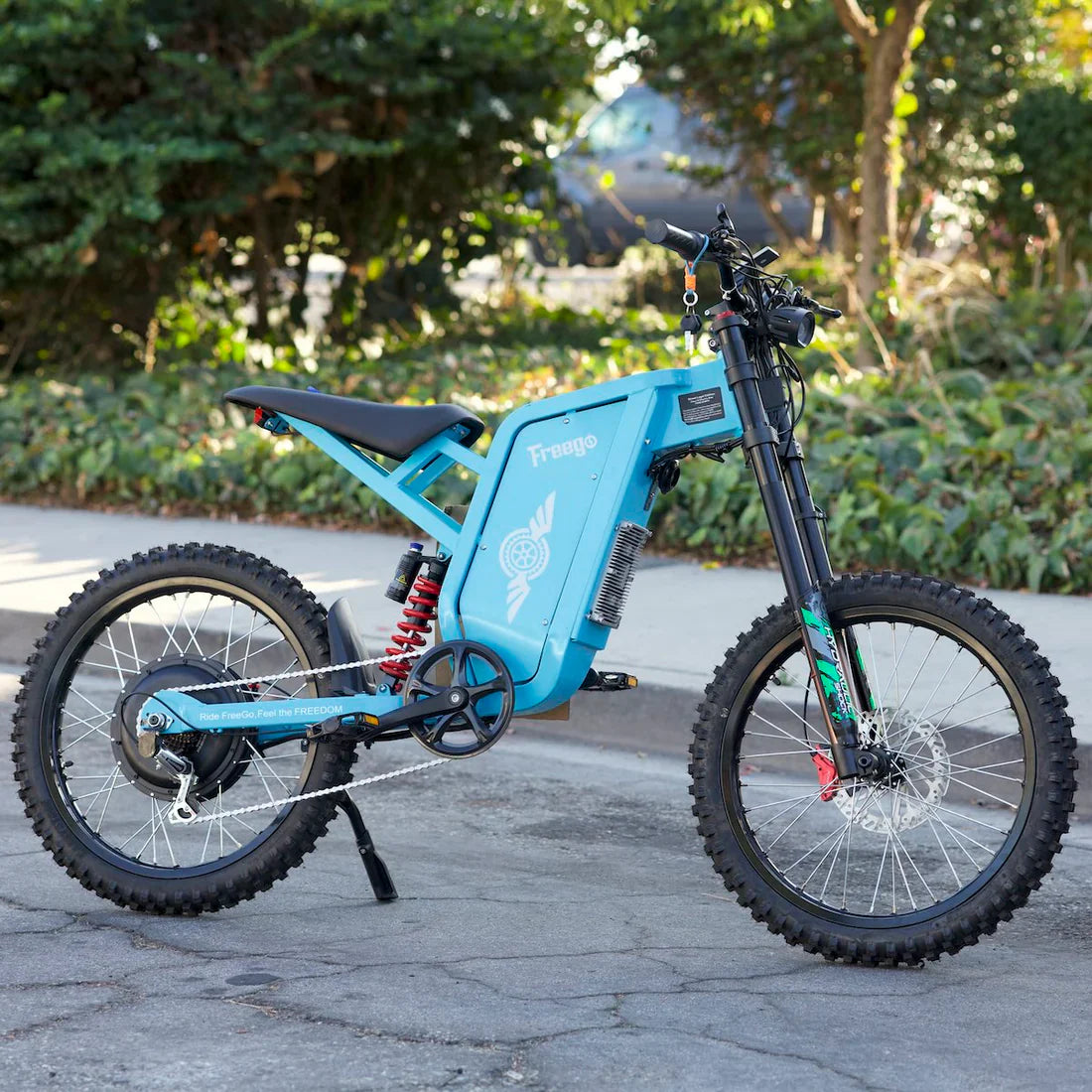 Freego X2 Pro All-Terrain Dirt Electric Bike