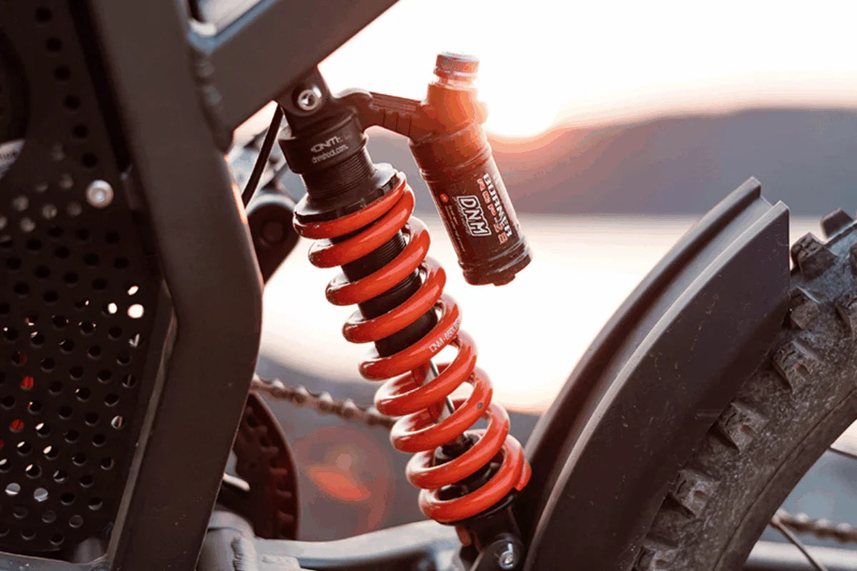 Freego X2 Dirt Master Off-Road Electric Bike