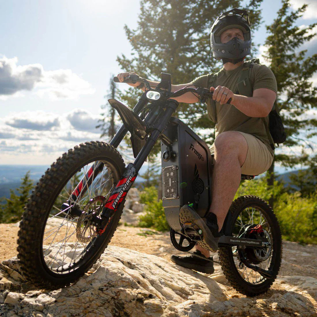 Freego X2 Pro All-Terrain Dirt Electric Bike
