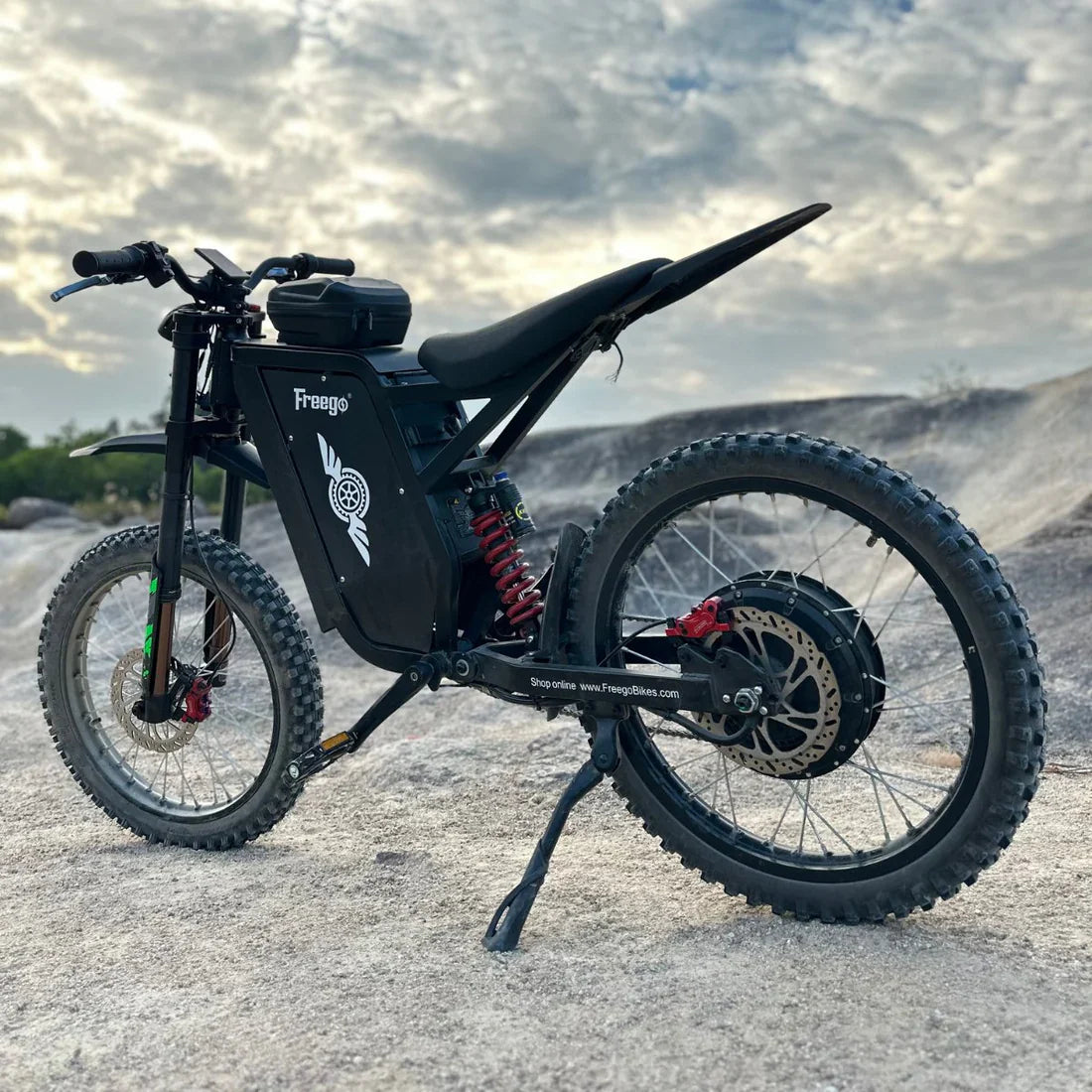 Freego X3 All-Terrain Electric Dirt Bike with Pedals