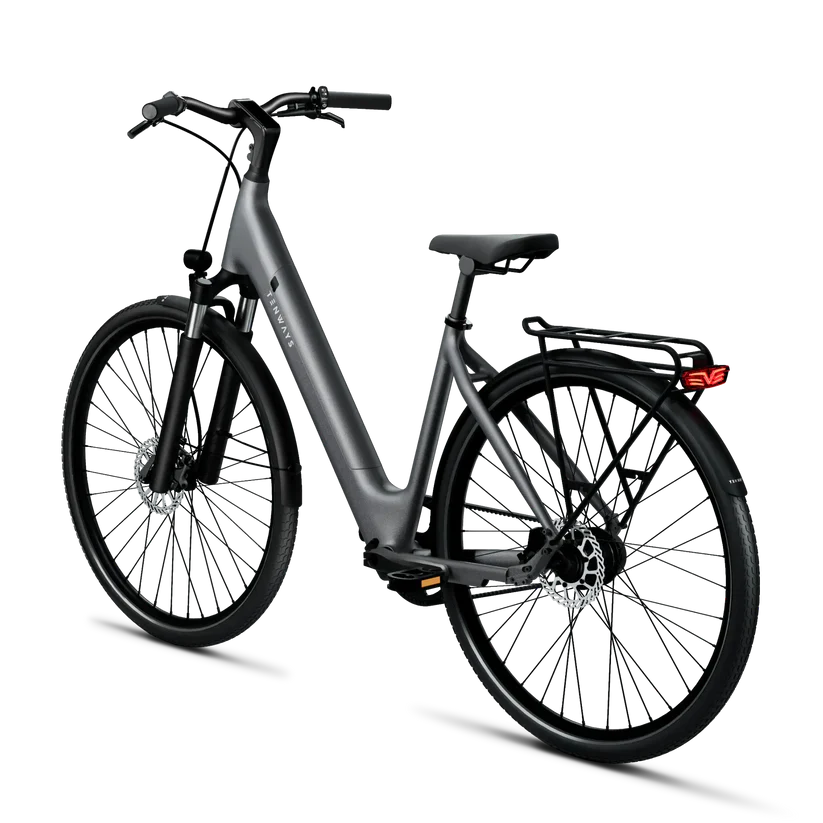 TENWAYS CGO800S Electric Bike