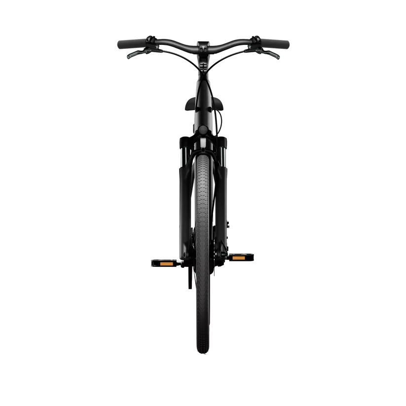 TENWAYS CGO800S Electric Bike