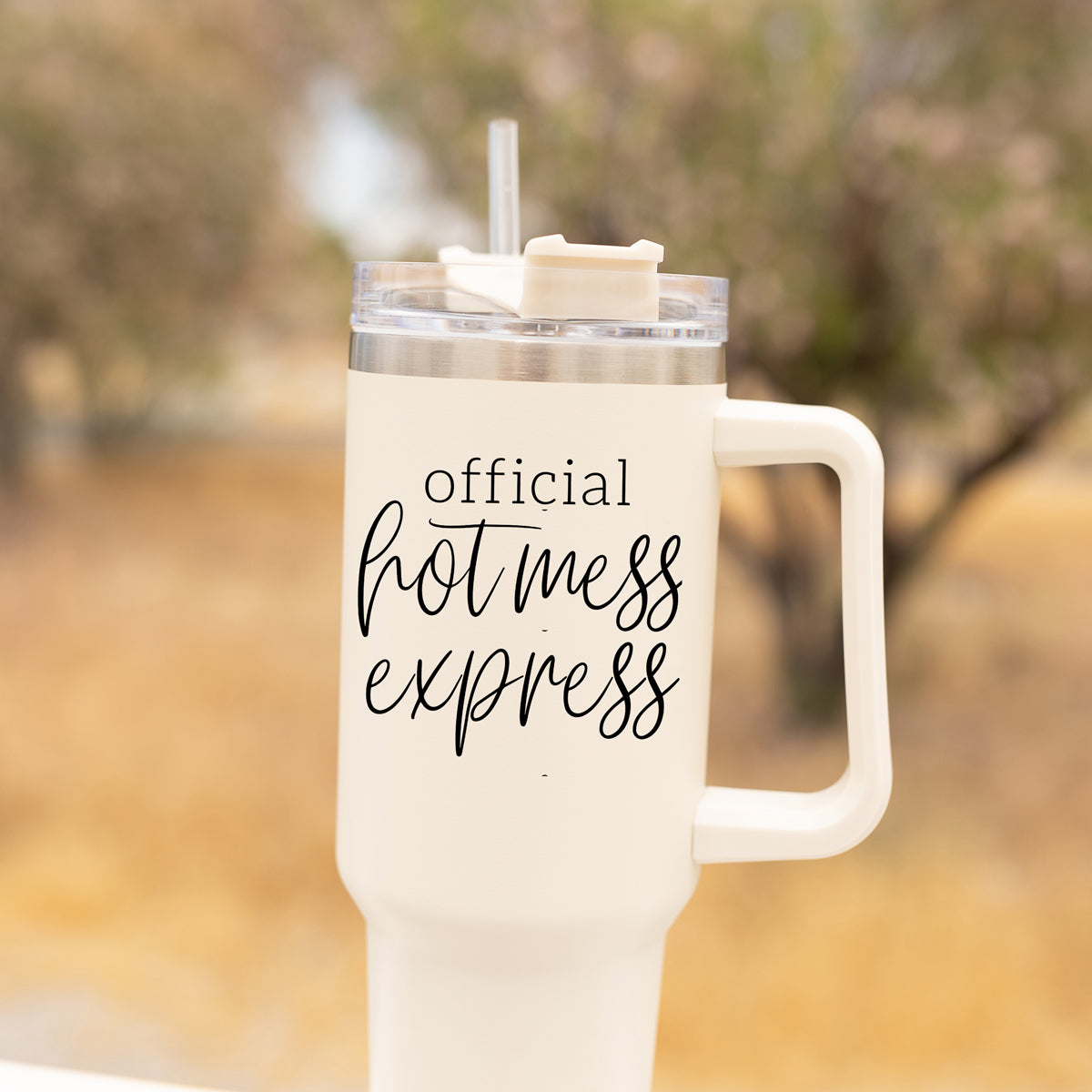 Hot Mess 40oz Tumbler With Lid And Straw - Insulated Travel Cup