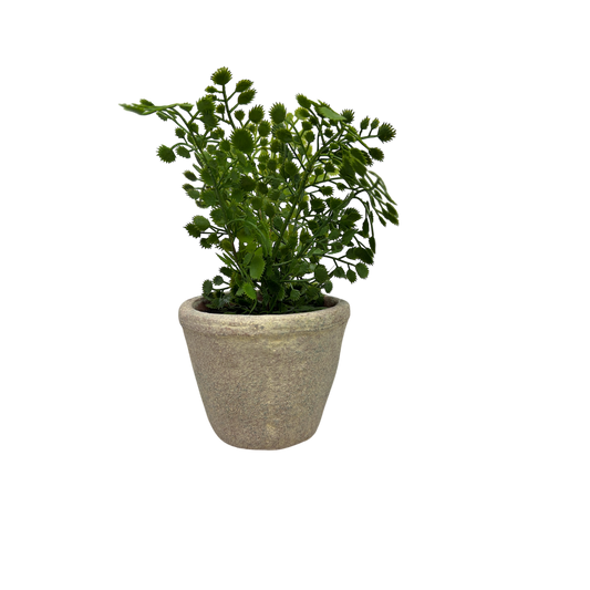 Faux  Fern in Cement Pot