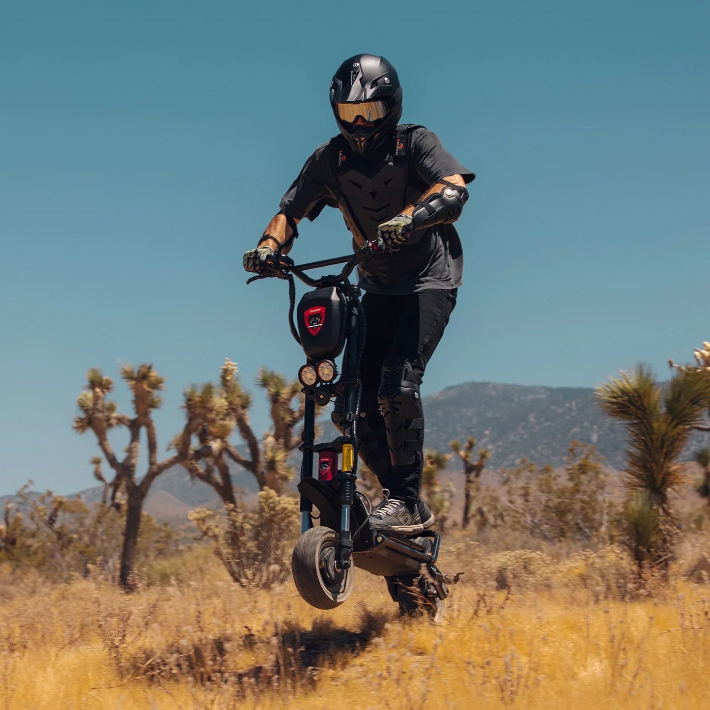 Kaabo Warrior 11 Pro + Electric Scooter