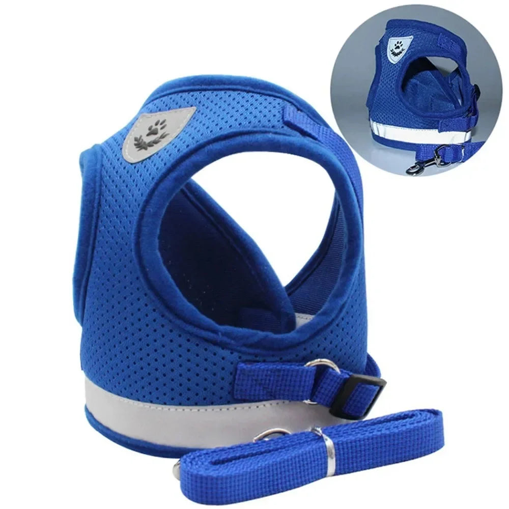 Reflective Cat Harness and Leash for Every Adventure