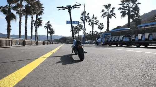 Kaabo Mantis X Plus Electric Scooter