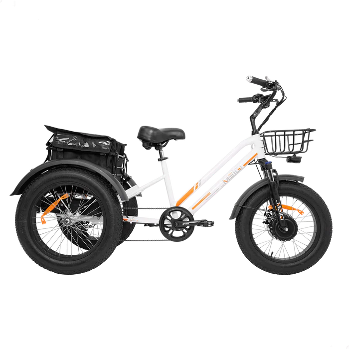 ZEUS 3 Wheel Fat Tire Electric Trike by DW Meigi