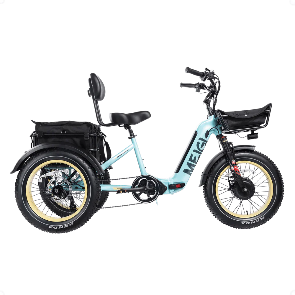SILVERADO-HD Fat Tire Electric Tricycle by DW Meigi