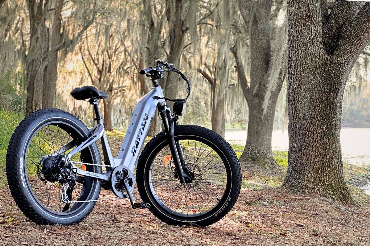 Rattan Sequoia Fat Tire 750W Electric Bike