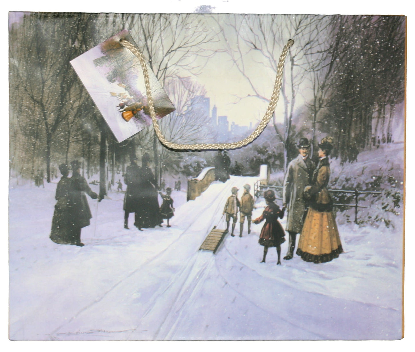 Snow Day In Central Park Gift Bag - Large