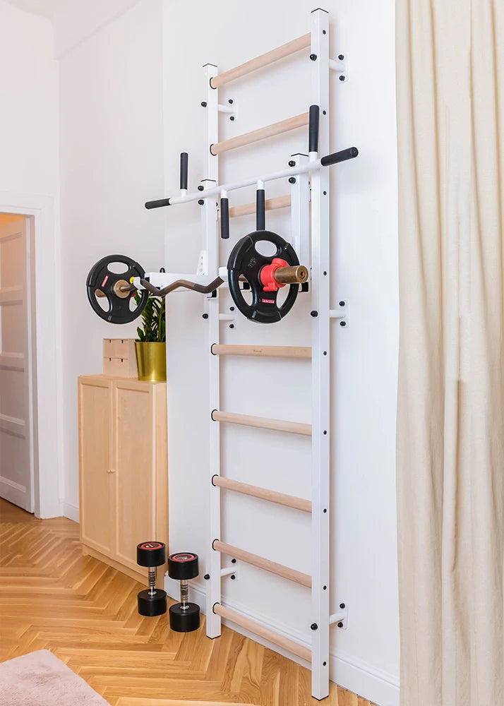BenchK 731 Wall Bars and Pull-Up Bar Exercise Rehabilitation Equipment