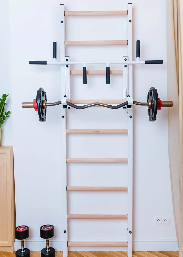 BenchK 732 Fitness Stall Bar with Pull-Up and Dip Station for Home Gym