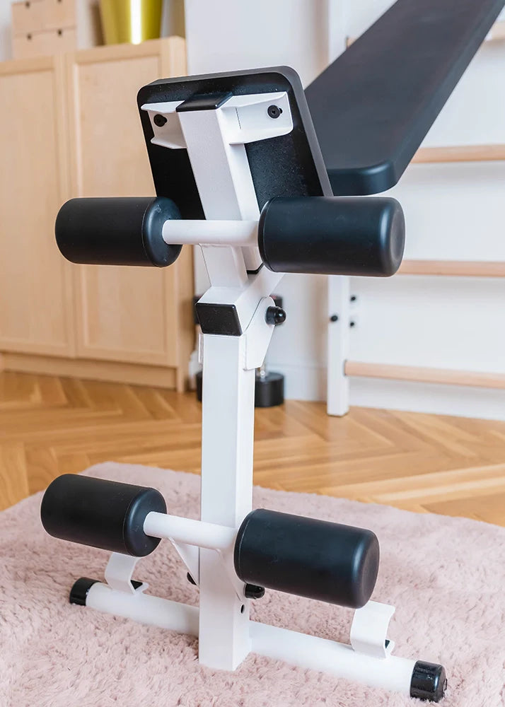 BenchK 733 Luxury Wall Bars for Home Gym and Personal Studio