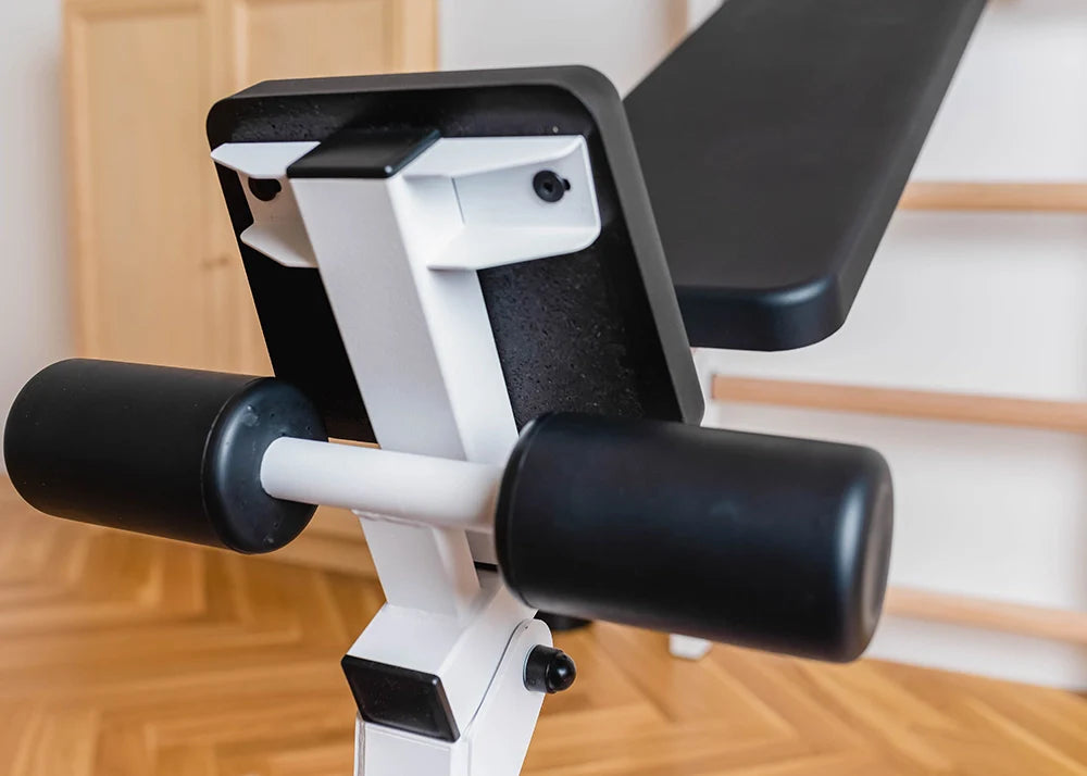 BenchK 733 Luxury Wall Bars for Home Gym and Personal Studio