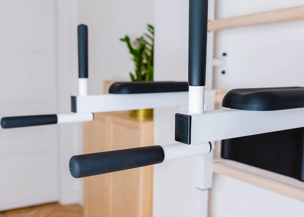 BenchK 723 Gymnastic Ladder with Workout Bench for Home Gym or Fitness Room