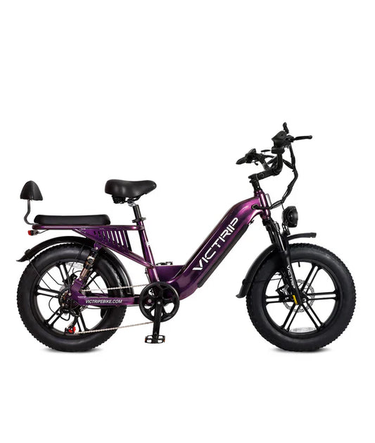 Victrip Mimas Torque Sensor Step Thru EBike with Rack and Fender