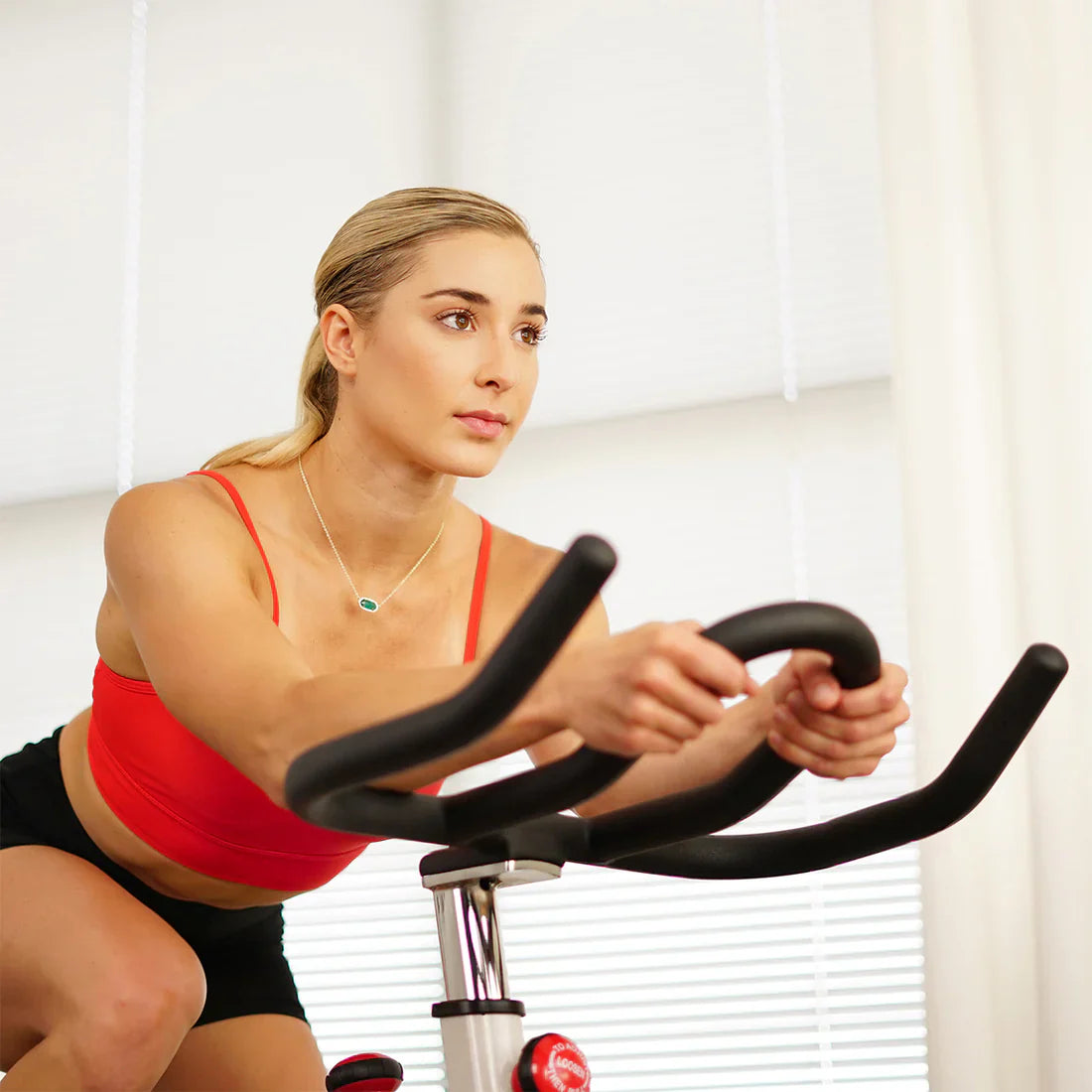 Premium Cycling Exercise Bike Indoor Fitness Belt Drive Clipless Pedal by Sunny Health & Fitness
