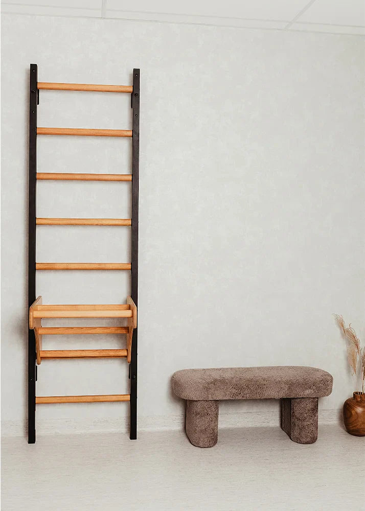 BenchK 211 Gymnastic Wall Bars with Ring and Swing Accessories